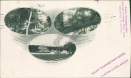 3 Views, Hotel, Bath House, Auditorium, Waterloo, IA Iowa 1906 Postcard