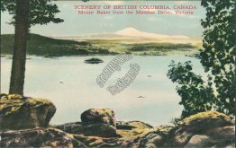 Mount Baker, Malahat Drive, Victoria, BC, Canada - Early 1900's Postcard