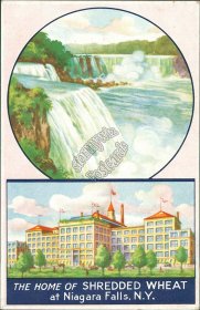 2 Views, Home of Shredded Wheat, Niagara Falls, NY New York - Early Postcard