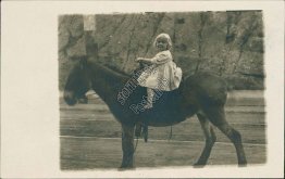 Baby Girl Riding Mule, Denver, CO Colorado - Early 1900's Real Photo RP Postcard