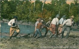 Hunting, Hunters Hauling Alligators to Camp, Panama - Early 1900's Postcard