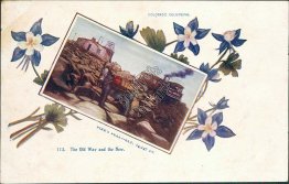 Mule, Train, Pike's Peak, CO Colorado Pre-1907 Embossed Postcard