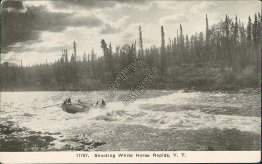 Shooting White Horse Rapids, Yukon Territory, YT, Canada - Early 1900's Postcard