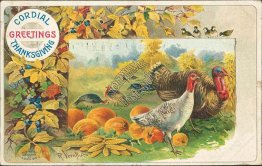 Turkeys - Early 1900's Embossed Thanksgiving R. Veentliet Postcard