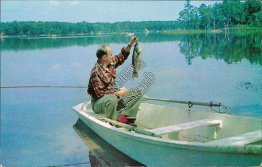 Fishing, Greetings from Buchanan, GA Georgia Postcard