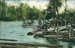 Logging, Boating Scene near River - Early 1900's Western Postcard
