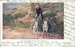 Man Riding Two Donkeys, Pueblo, CO Colorado 1906 Embossed Postcard