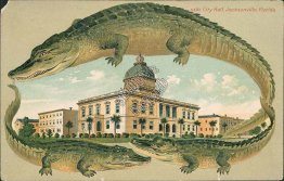 City Hall, Jacksonville, FL Florida Early 1900's ALLIGATOR BORDER S-590 Postcard