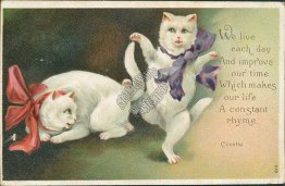 Two Cats Dancing, Clivette Signed, David City, NE Nebraska 1909 Postcard