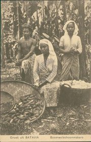 Cotton Pickers, Natives, Batavia, Indonesia - Early 1900's Postcard
