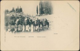 Caravan Bridge, Izmir, Turkey - Early 1900's Postcard