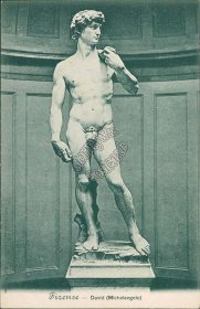 David (Michelangelo), Florence, Italy - Early 1900's Postcard