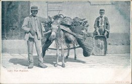 Popular Types, Merchant, Naples, Italy - Early 1900's Postcard