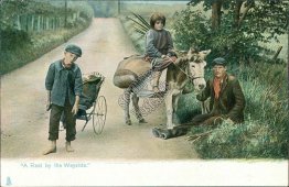 A Rest by the Wayside, Kid Riding Mule - Early 1900's Postcard