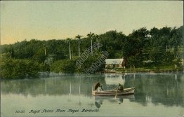Boating Scene, Paget, Bermuda - Early 1900's Postcard