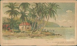 Mid Winter Scene in Porto Rico, Puerto Rico PR - Early 1900's Postcard