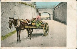 Market Vendor, Horse Wagon, Nassau, Bahamas 1906 Postcard, Stamp, Postmark