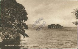 Gulf of Paria, near Port of Spain, Trinidad, BWI - Early 1900's TUCK Postcard