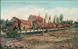 Logging Train in California, Diamond Match Co., Stirling City, CA Postcard