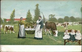 Women Carrying Babies in Basket, Babies Sucking Milk from Cows - Early Postcard