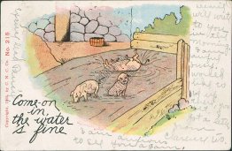 3 Pigs Rolling in Mud Bath Pre-1907 C. N. C. Comic Postcard