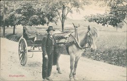 Boys Next to Stage Horse Drawn Wagon, Skydsgutten, Norway Early 1900's Postcard