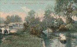 Lagoon & Sheep, Washington Park, Chicago, IL Illinois - Early 1900's Postcard
