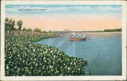 Bass Fishing in Florida FL - Early 1900's Postcard