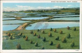 State Fish Hatchery, Pratt, KS Kansas - Early 1900's Postcard