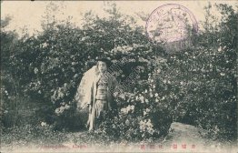 Azalea Garden, Korea - Early 1900's Postcard