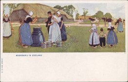 Farm in New Zealand - Early 1900's Postcard