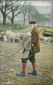 The Shepherd Holding Lamb, Cane, Sheep Herd - Early 1900's Postcard