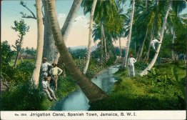 Irrigation Canal, Spanish Town, Jamaica, BWI - Early 1900's Postcard