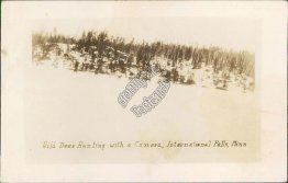 Wild Deer Hunting with Camera, International Falls, MN Minnesota RP Postcard