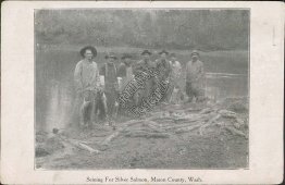 Seining for Silver Salmon, Fishing, Mason County, WA Washington 1910 Postcard