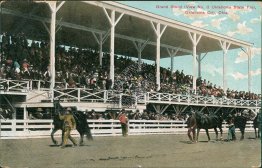 Grand Stand, Race Horses, State Fair, Oklahoma City, OK - 1910 Postcard