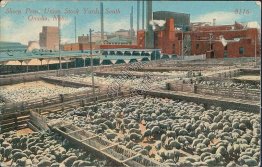 Sheep Pens, Union Stock Yards, Omaha, NE Nebraska - 1915 Postcard