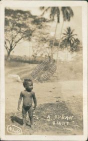 Nude Baby Boy, A Cuban Giant - Early 1900's Real Photo RP Cuba Postcard