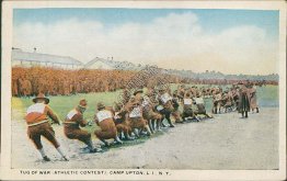 Tug Of War, Army Athletic Contest, Camp Upton, Long Island LI NY Postcard