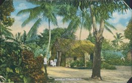 Native Hut, Puerto Rico Porto Rico - Early 1900's Postcard