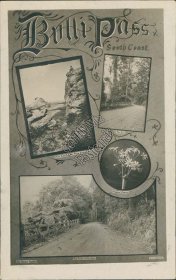4 Views, Bulli Pass, Australia - Early 1900's Real Photo RP Postcard