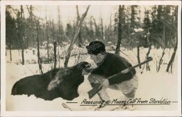 Rescuing Moose Calf from Starvation, Vancouver, BC, Canada - RP Photo Postcard