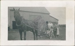Horse Drawn Wagon, Family - Early 1900's Real Photo RP Postcard