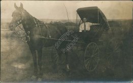 Man, Horse Drawn Coach Wagon - Early 1900's Real Photo RP Postcard