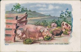 Pigs, Excuse Haste and Bad Pen - 1907 Embossed Postcard