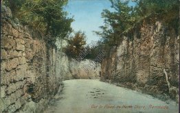 Cut in Road to North Shore, Bermuda - Early 1900's Postcard