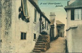 A Novel Flower Garden, Bermuda - Early 1900's Postcard