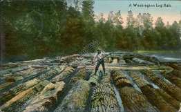 A Washington Log Raft, WA - Early 1900's Western Postcard