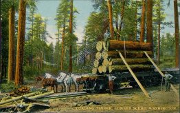 Loading Timber, Lumber Scene, WA Washington - Early 1900's Postcard