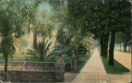 Woodland Boulevard, De Land, FL Florida - 1912 Postcard